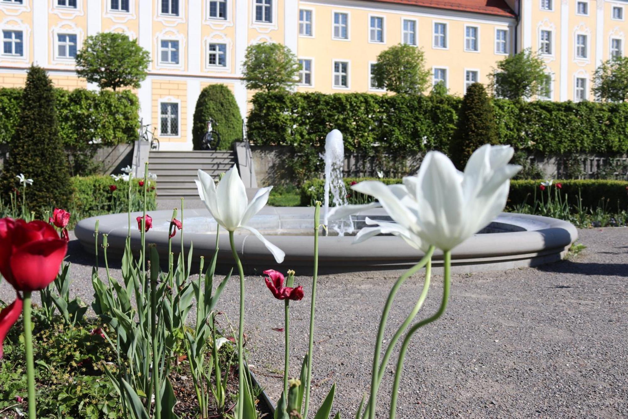 Klostergasthof Roggenburg Exterior foto