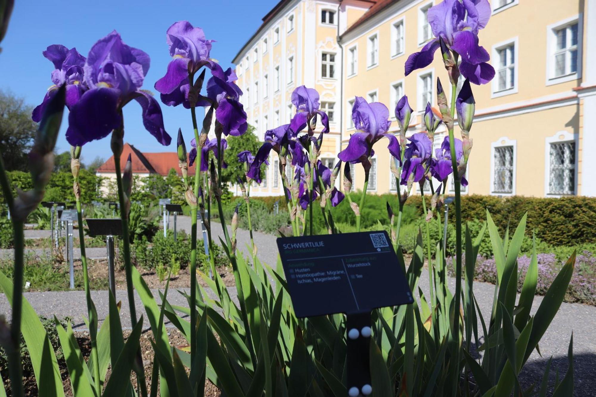 Klostergasthof Roggenburg Exterior foto
